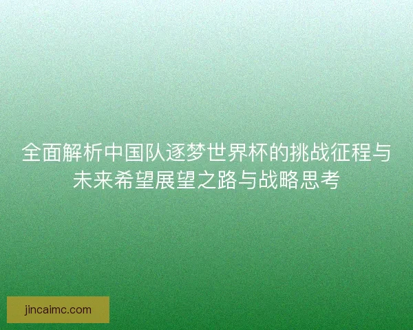 全面解析中国队逐梦世界杯的挑战征程与未来希望展望之路与战略思考