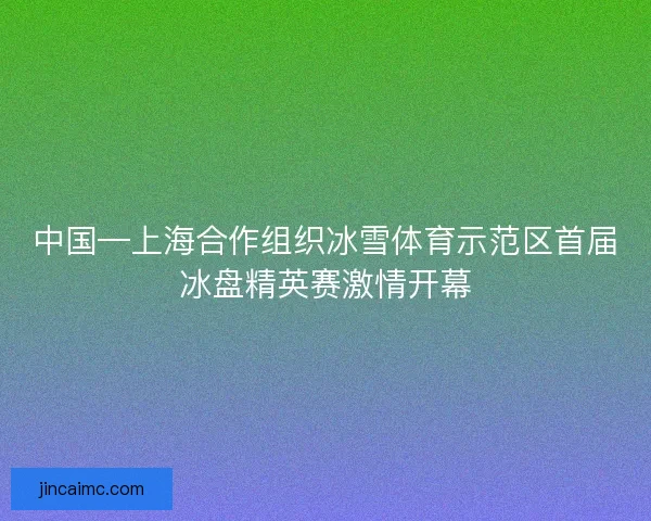 中国—上海合作组织冰雪体育示范区首届冰盘精英赛激情开幕